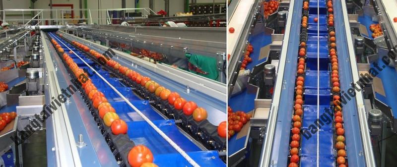 z5319015298777_8081f96a75e13454e5014291643bff21