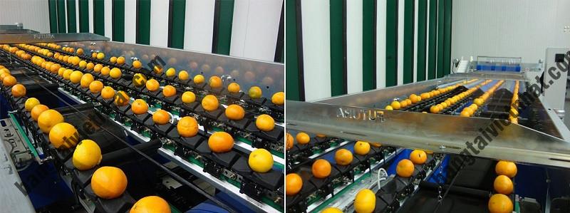 z5319015298779_b33c126bb60ee150089e8b5616bf736f