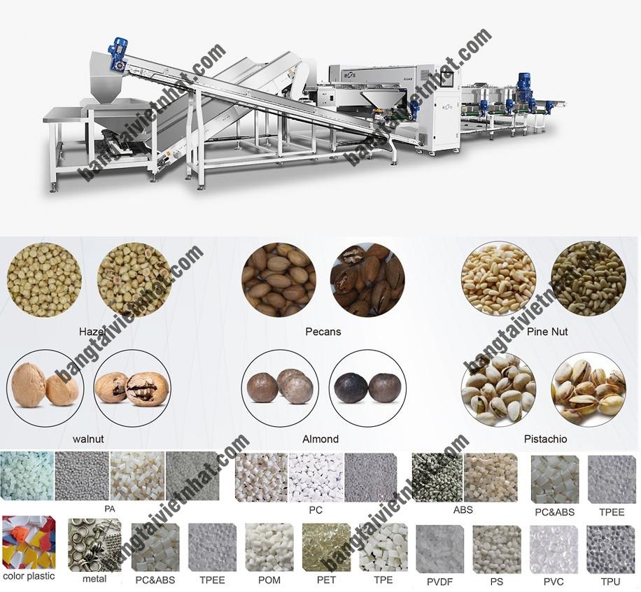 z5319015431433_24d47bde753e42f4d7a4d6ebe321ce11