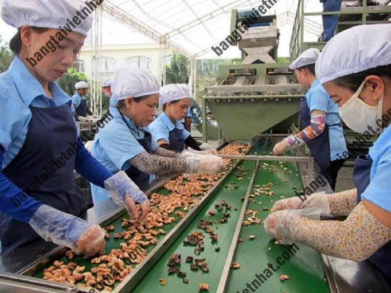 z5774498738106_c2e84e7c6b0bb74509dbc75fb7815daf