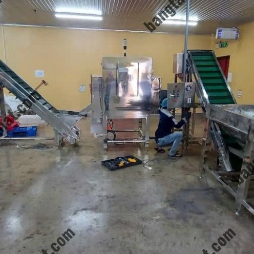 z5774498780961_820ed9bcae20d325ab96052cce31a66c